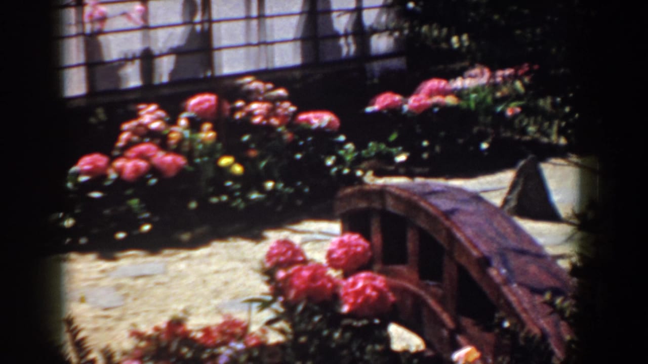 1958 Yorktown frame with saturated pink flowers, dark foliage, shoji-style screen shadows, stone path, and a curved wooden bridge.