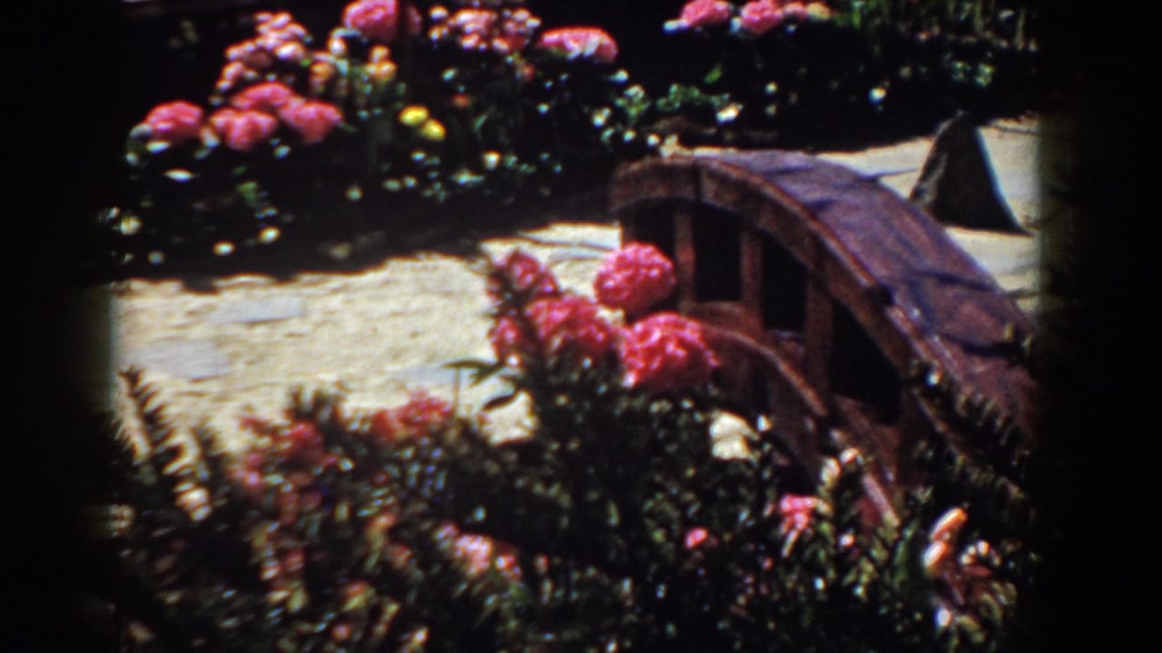 1958 Yorktown home-movie frame showing bright blossoms, layered garden foliage, stone path, and a small arched wooden bridge.