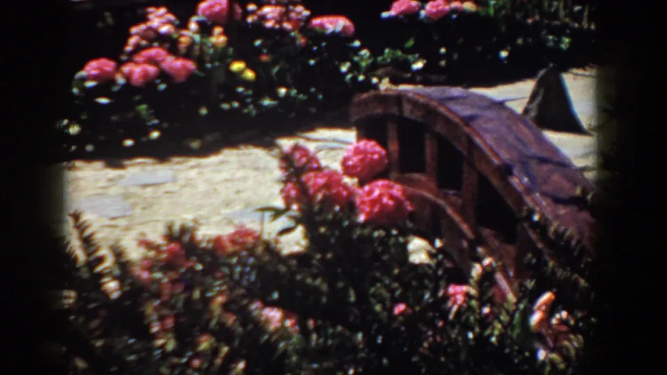 1958 Yorktown home-movie frame showing bright blossoms, layered garden foliage, stone path, and a small arched wooden bridge.