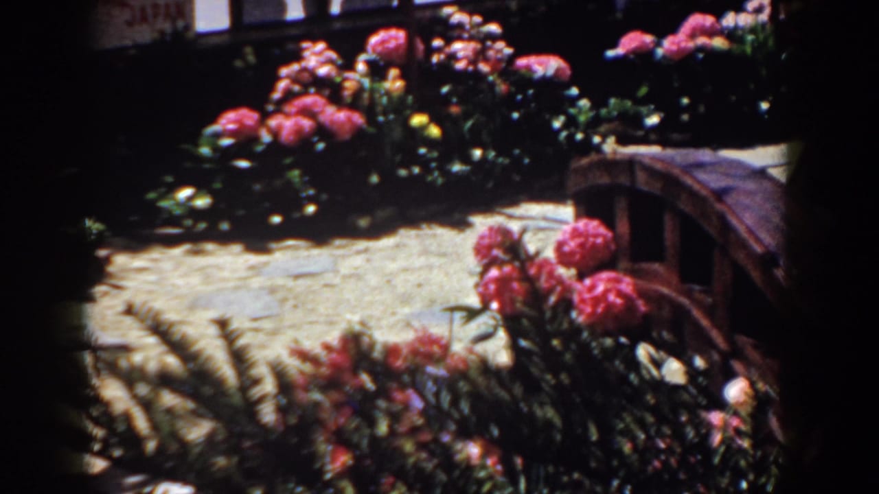 Flowering garden bed beside a pale path and small wooden bridge.