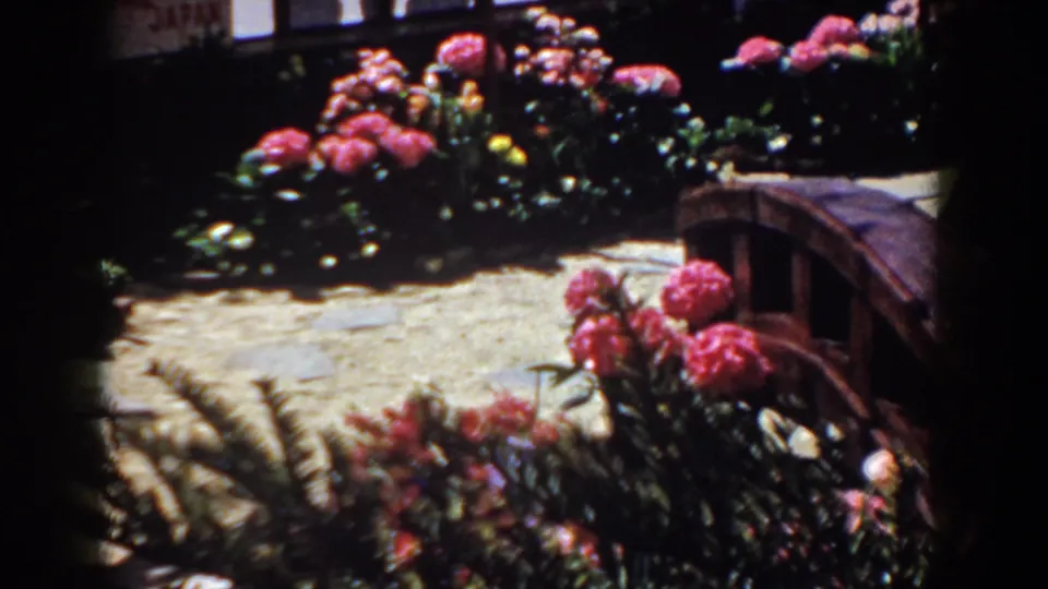 1958 Yorktown, Virginia 8mm frame showing pink flowers, a stone path, a small wooden bridge, and Japanese-style screen panels.