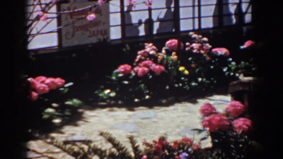 1958 Yorktown, Virginia frame with flower beds, shoji-style panels, branches, and a visible "Japan" sign in the background.