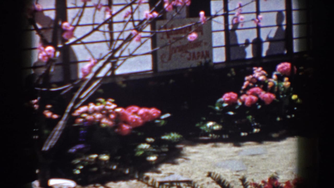 1958 Yorktown, Virginia 8mm frame showing flowering shrubs, bare branches, shoji-style panels, and a partial garden path.