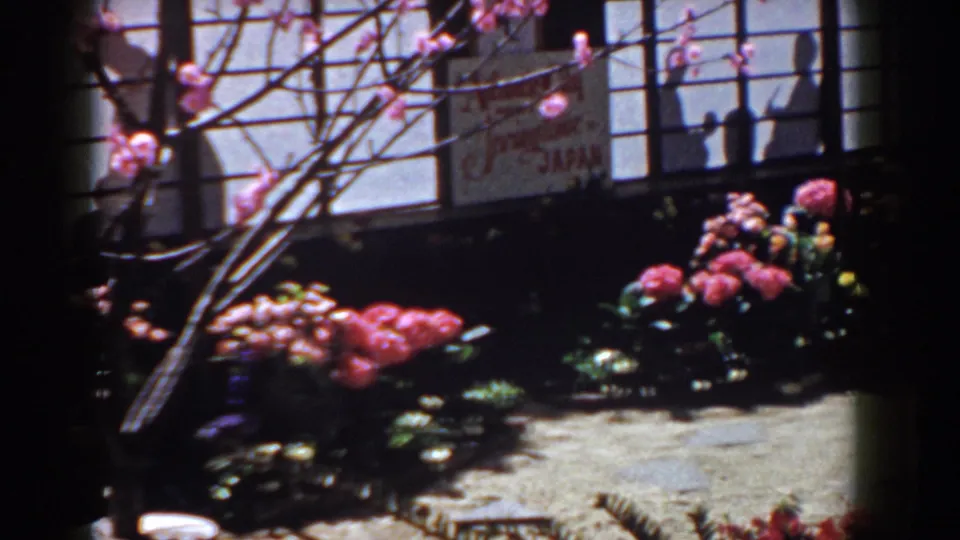 1958 Yorktown, Virginia 8mm frame showing flowering shrubs, bare branches, shoji-style panels, and a partial garden path.