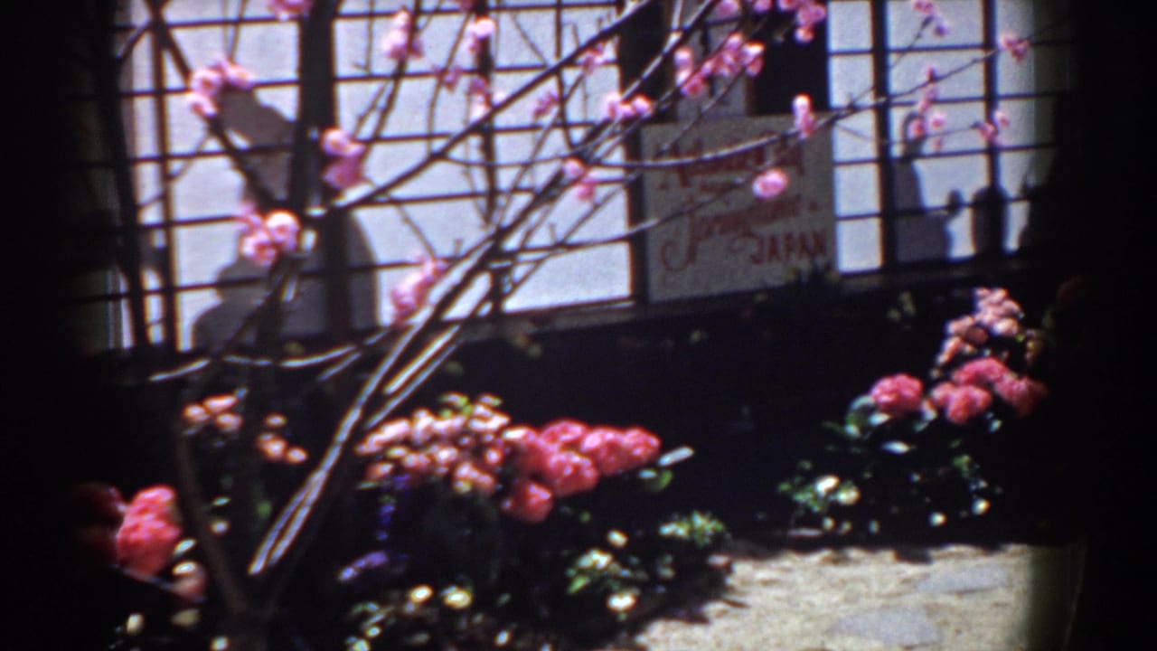 1958 Yorktown, Virginia frame with branches over pink blooms, a stone path, shoji-style panels, and a "Japan" sign.