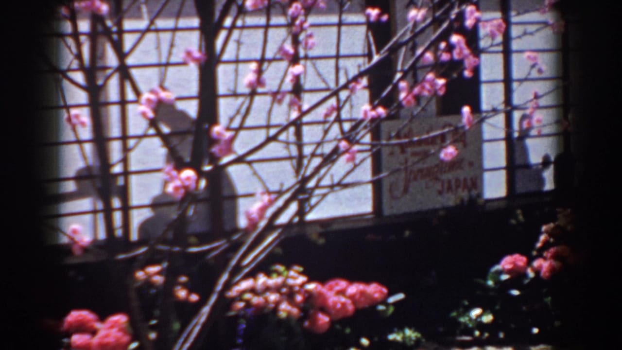 Pink blossoms and dark branches in front of gridded screen panels and a partial display sign.