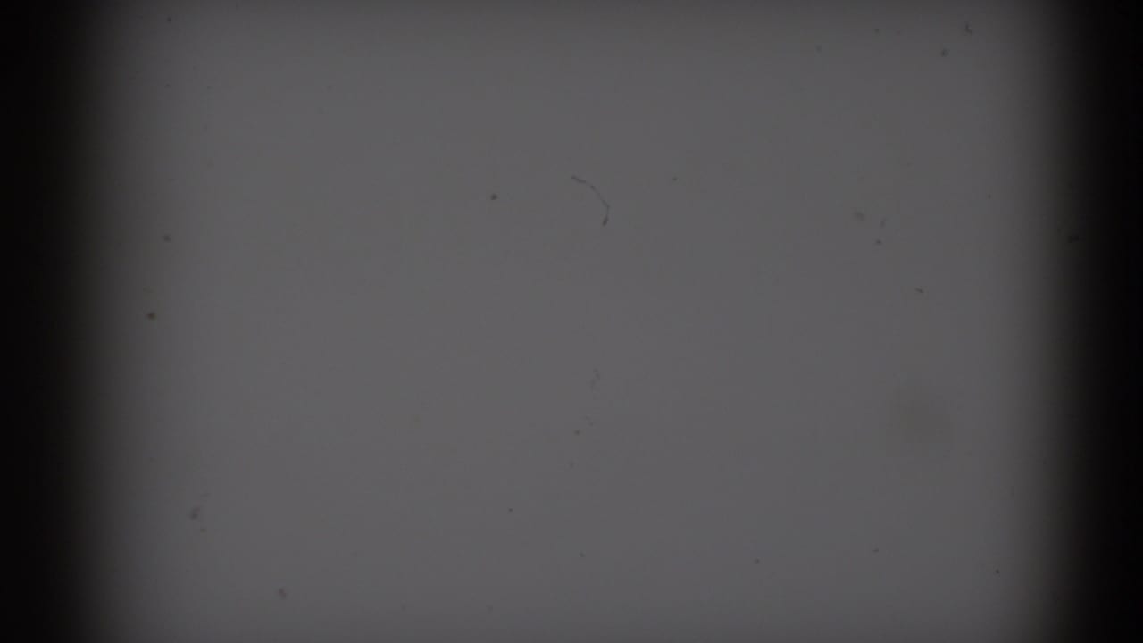 Mostly blank gray film frame with dark vertical borders and dust specks.