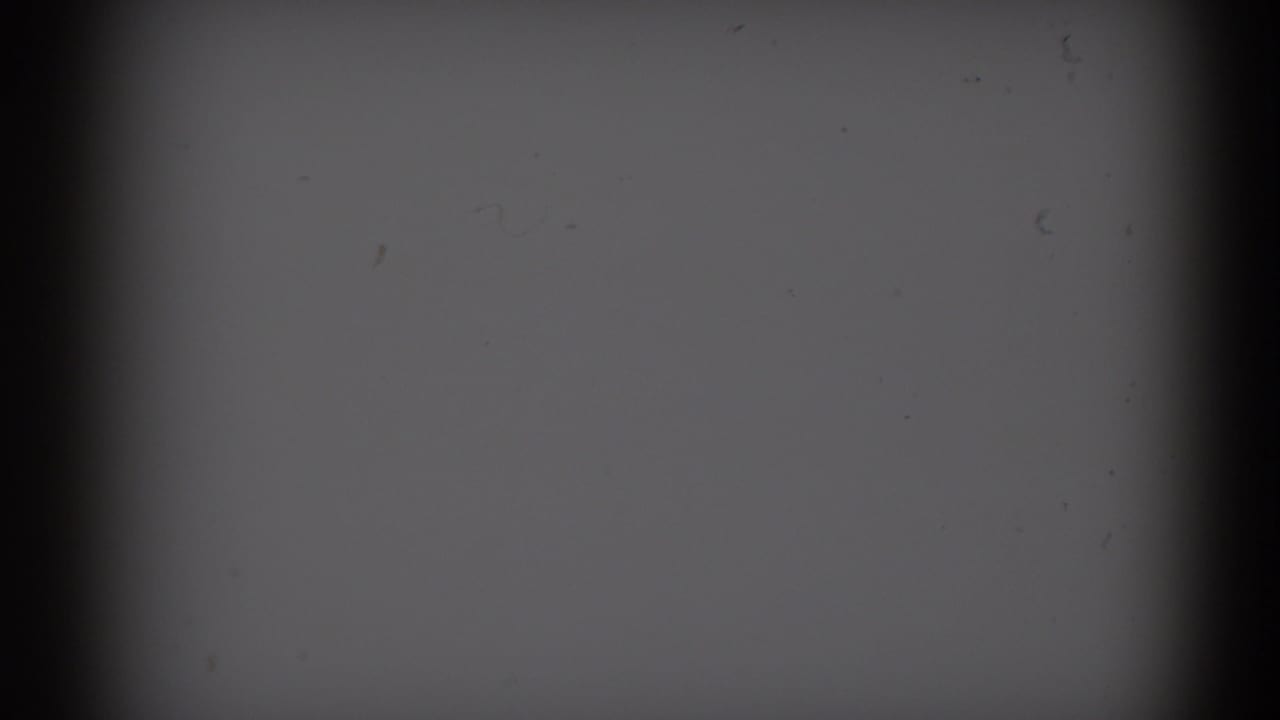 Underexposed portion of the 8mm scan, showing gray film surface, dark gate edge, and scattered dust from the 1959 Florida footage.