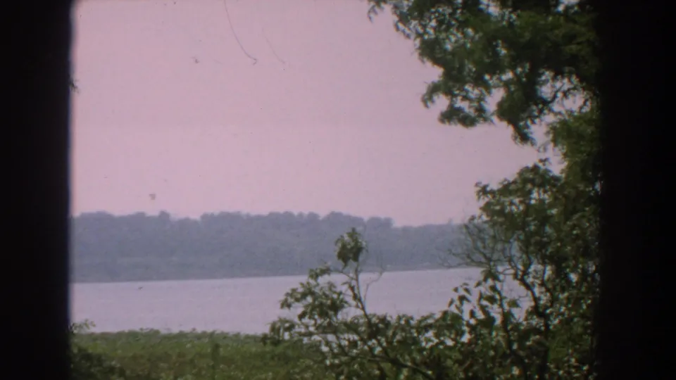 1959 Florida 8mm frame opening onto a broad body of water, hazy sky, distant wooded shoreline, and trees at the edge of the view.