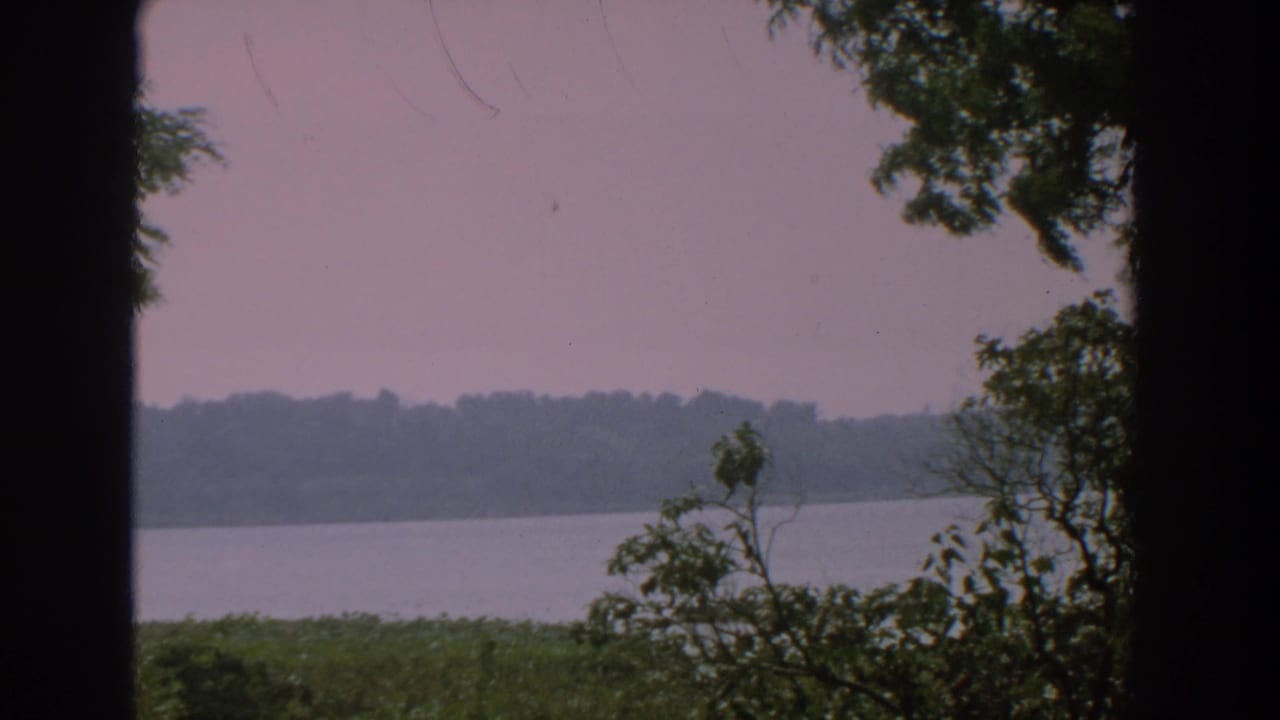 1959 Florida 8mm frame showing a calm lake beyond grass and foliage, seen through dark vertical foreground shapes.