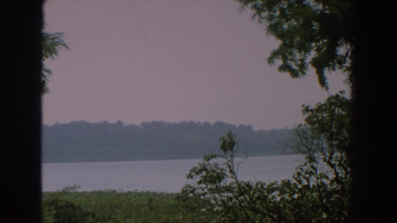 Wide lake view with trees at the right edge and a dark vertical foreground shape.