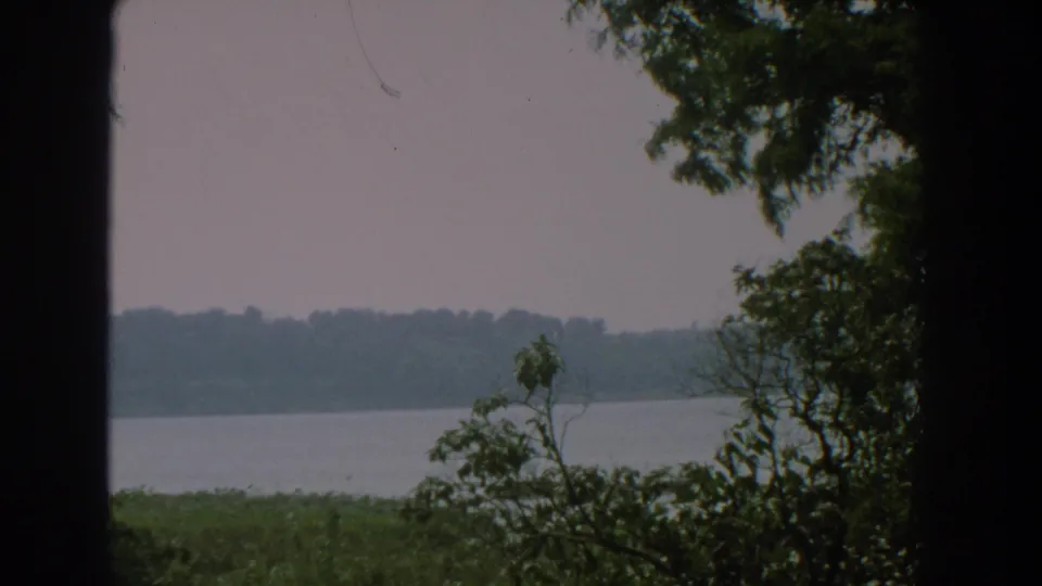 1959 Florida 8mm view across a grassy lakeshore toward calm water and a soft distant treeline.