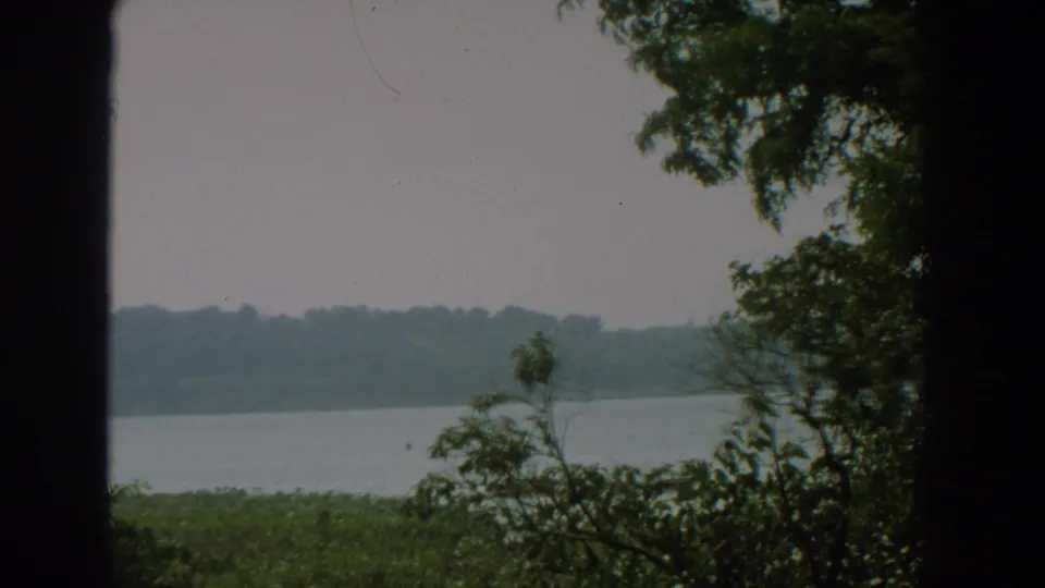 1959 Florida frame showing a quiet lakeside landscape with green shoreline growth, distant trees and a muted film tint.