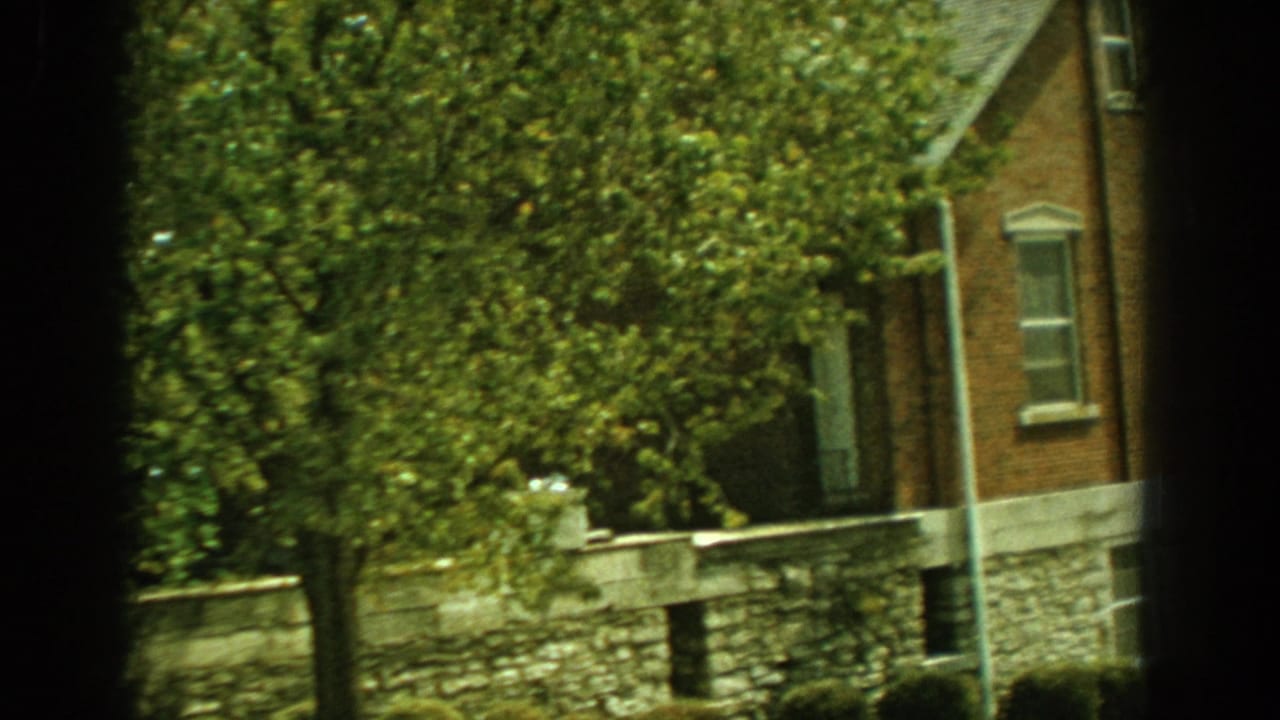 Brick house, trees, stone wall, and streetlight pole.