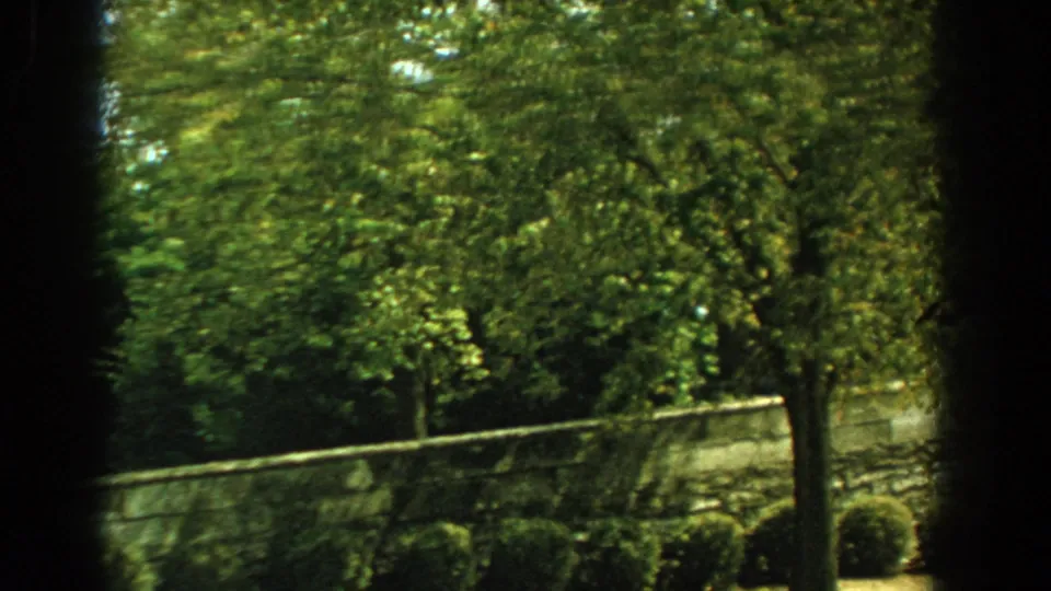 1959 Florida 8mm frame showing trees and a low stone wall, with the residential building mostly hidden by foliage.