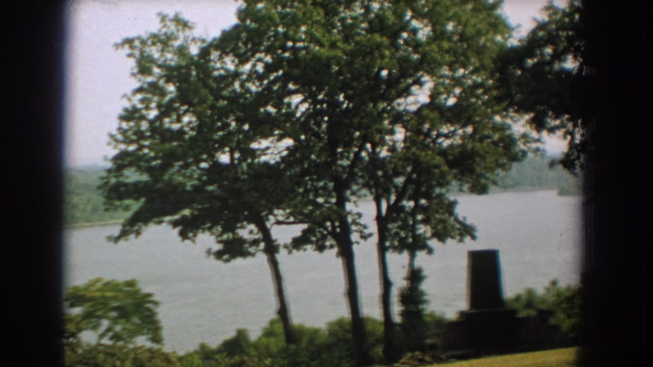 Trees and lake water with a small dark structure near the lower right.