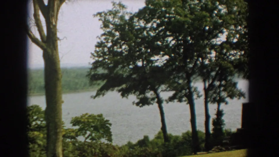1959 Florida home-movie frame with tree trunks, dense foliage, calm lake water, and a wooded shoreline in the distance.