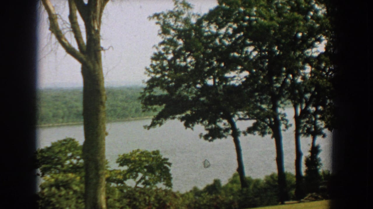 Tree-framed lake or river with distant wooded shoreline under a pale sky.