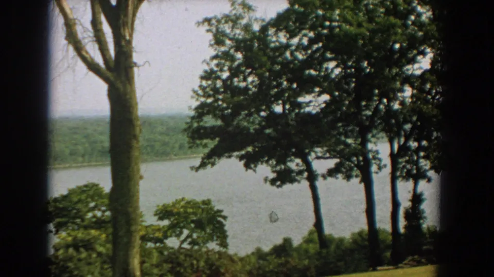 1959 Florida 8mm frame showing a calm lake or river viewed through tall trees and leafy foreground growth.
