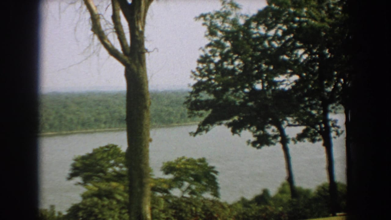 Calm water and wooded far bank seen between dark tree trunks.