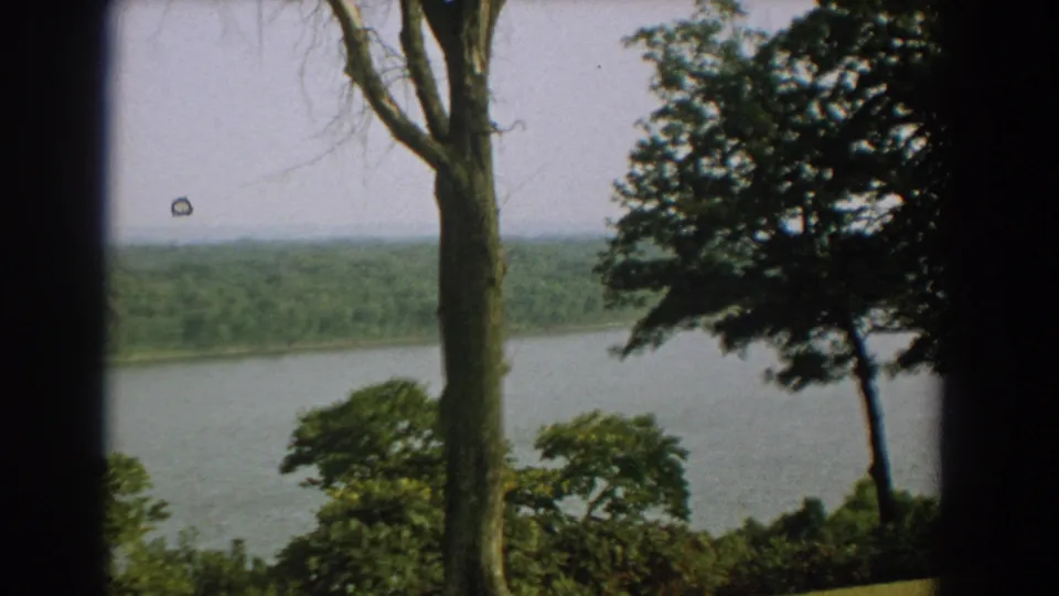 1959 Florida 8mm frame showing a broad lake or river behind a tall trunk, leafy branches, and low green foliage.