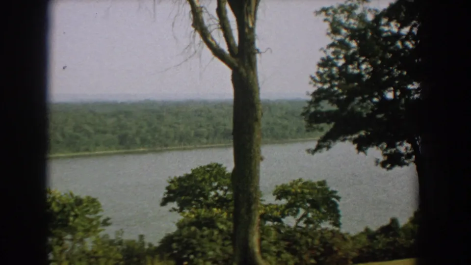 1959 Florida home-movie frame of a calm lake or river bordered by dense trees, with branches framing the right side.