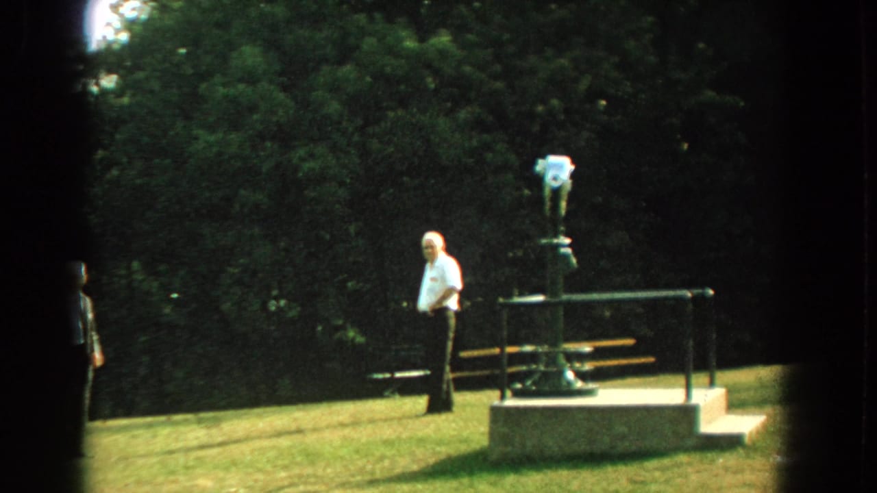 Man standing on grass near a coin-operated binocular viewer in a park.