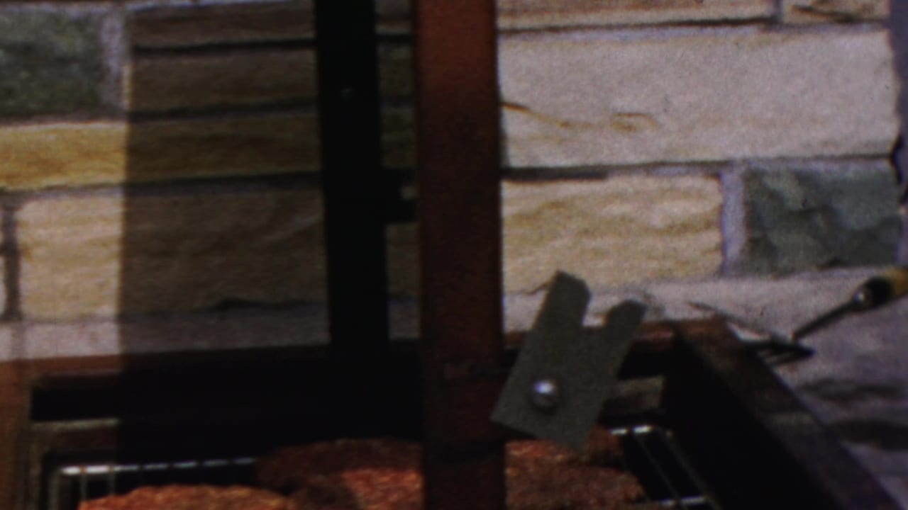 Food is visible on the grill surface in the 1959 Paramus backyard scene, with grill hardware and part of a person at the frame edge.