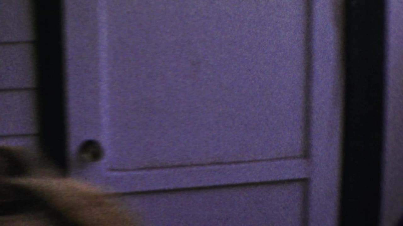 The final frame shows a private interior doorway in soft focus as a blurred figure passes across the foreground.