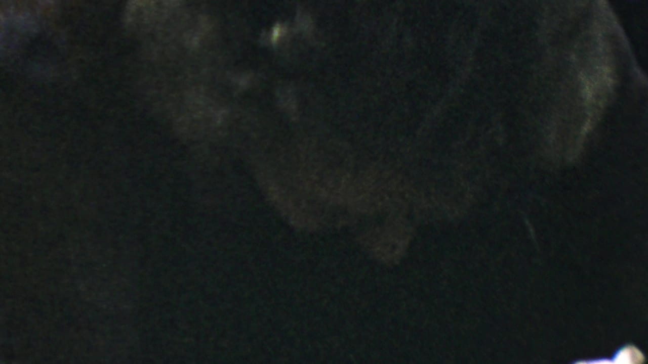 Dim close-up of an elderly woman wearing glasses and a pearl necklace.