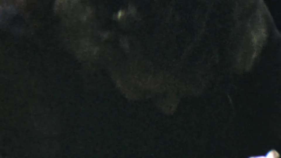1959 Paramus home-movie frame showing an elderly woman in glasses and pearls, partly shadowed in close-up.
