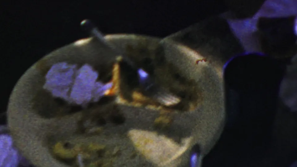 1959 Paramus home-movie frame focused on a used plate with a spoon, leftover food, napkin, and dim surrounding table.