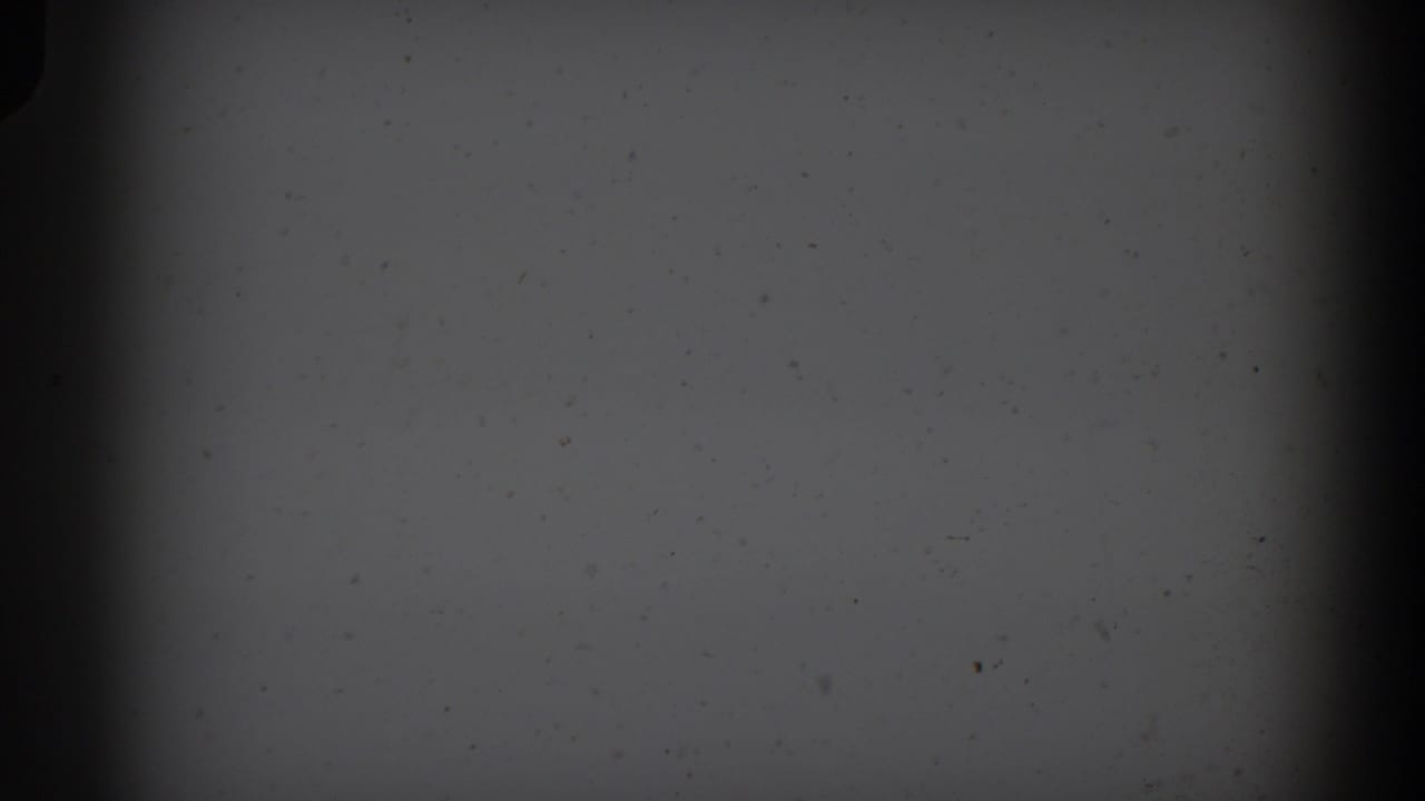 Dark leader or damaged 8mm footage with dust specks and heavy side shadows before the Christmas scene appears.