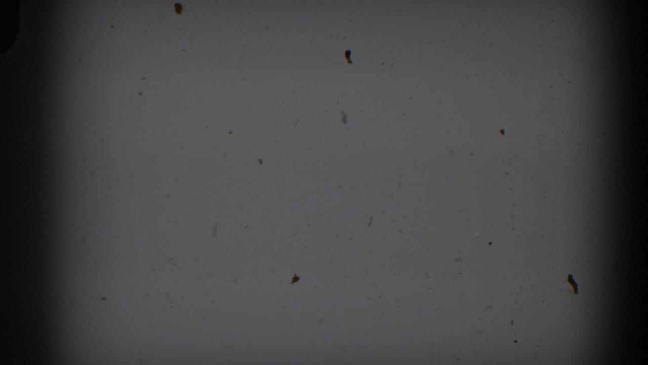 Dark gray film frame with dust marks and a broad vertical shadow near center.