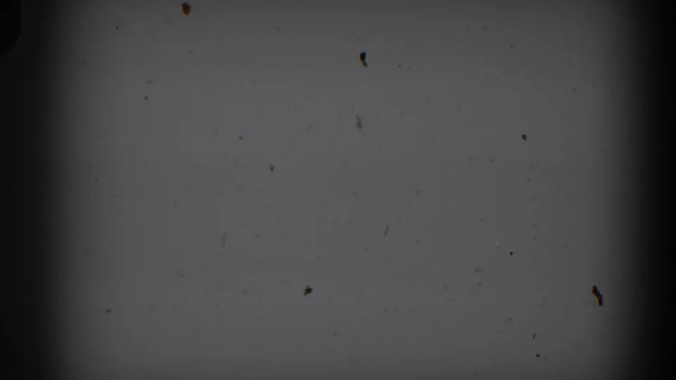 A second dark 8mm frame shows dust, small marks, and a wide vertical shadow consistent with leader or damaged film.