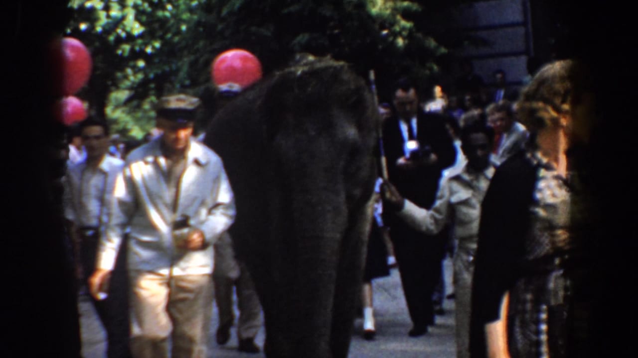 Elephant walking beside uniformed men and spectators on a shaded outdoor path.