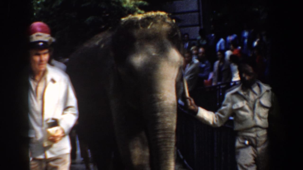 1960 Bel Air, Maryland parade frame with a woman, a uniformed man, handlers, spectators, and the elephant passing close to camera.