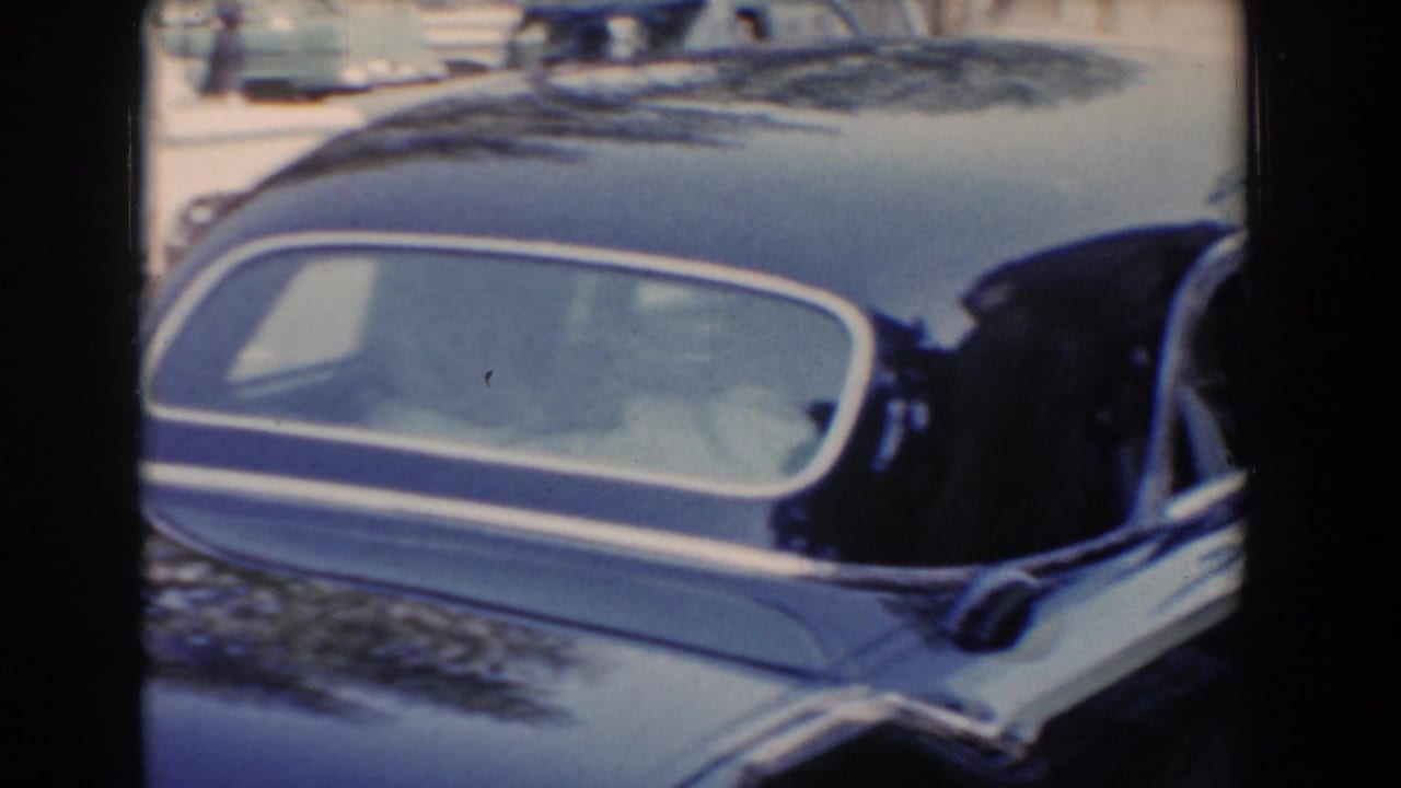 Rear side window of a black parked car, with a small figure faintly visible inside.