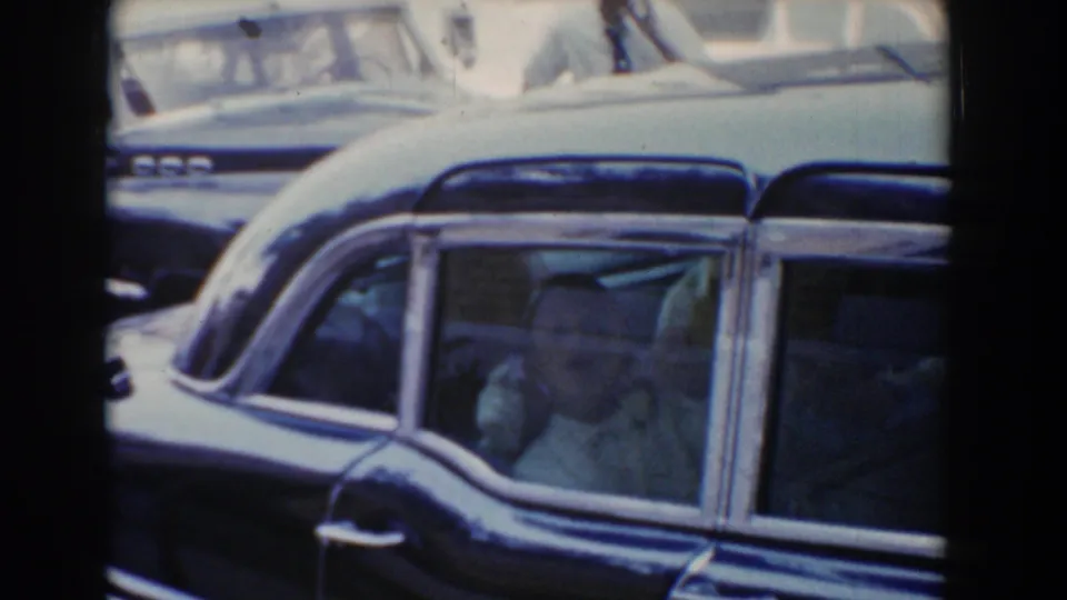 The side window of the black parked car shows a small passenger inside, with another light-colored car visible behind it.