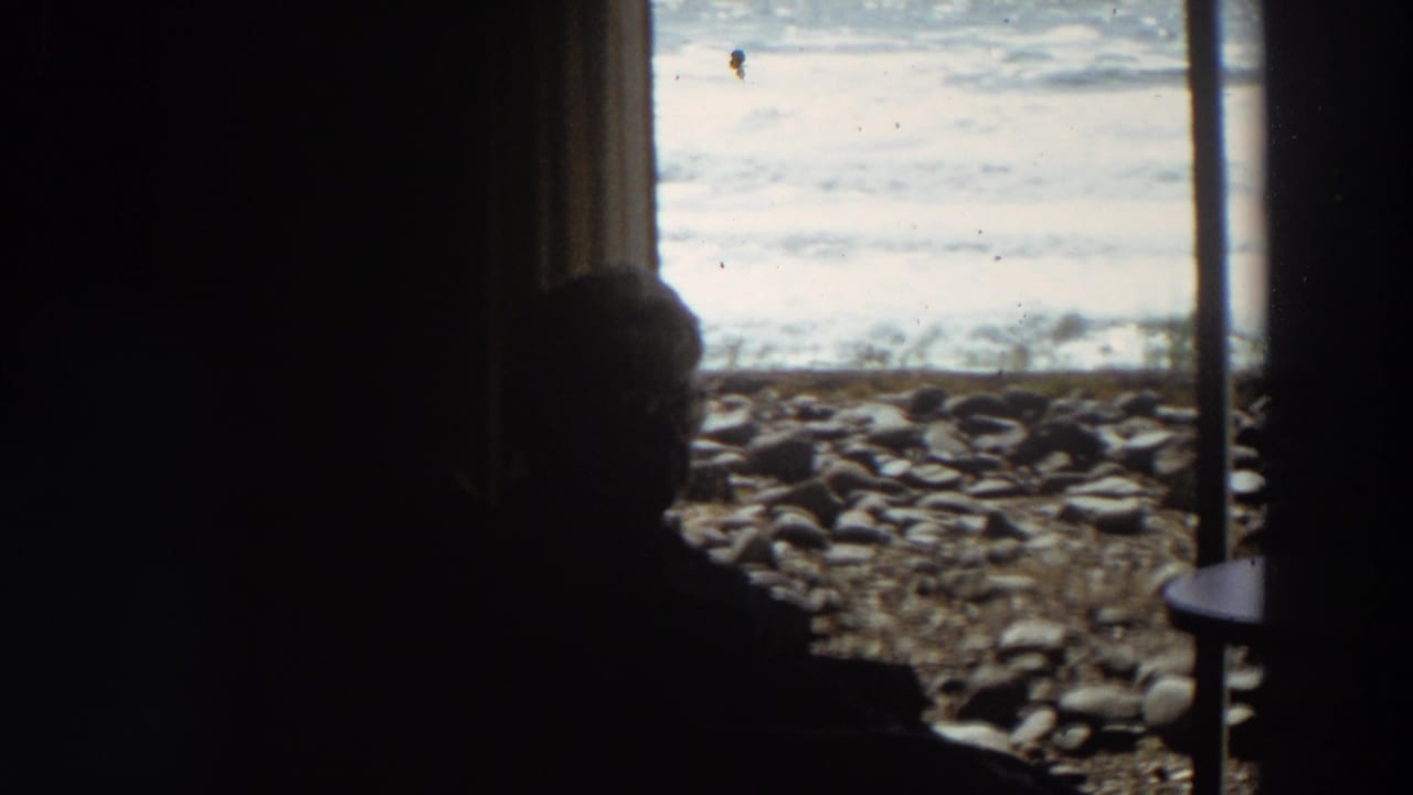Silhouetted older woman seated indoors near a coastal window, with a rocky California beach and waves visible outside.