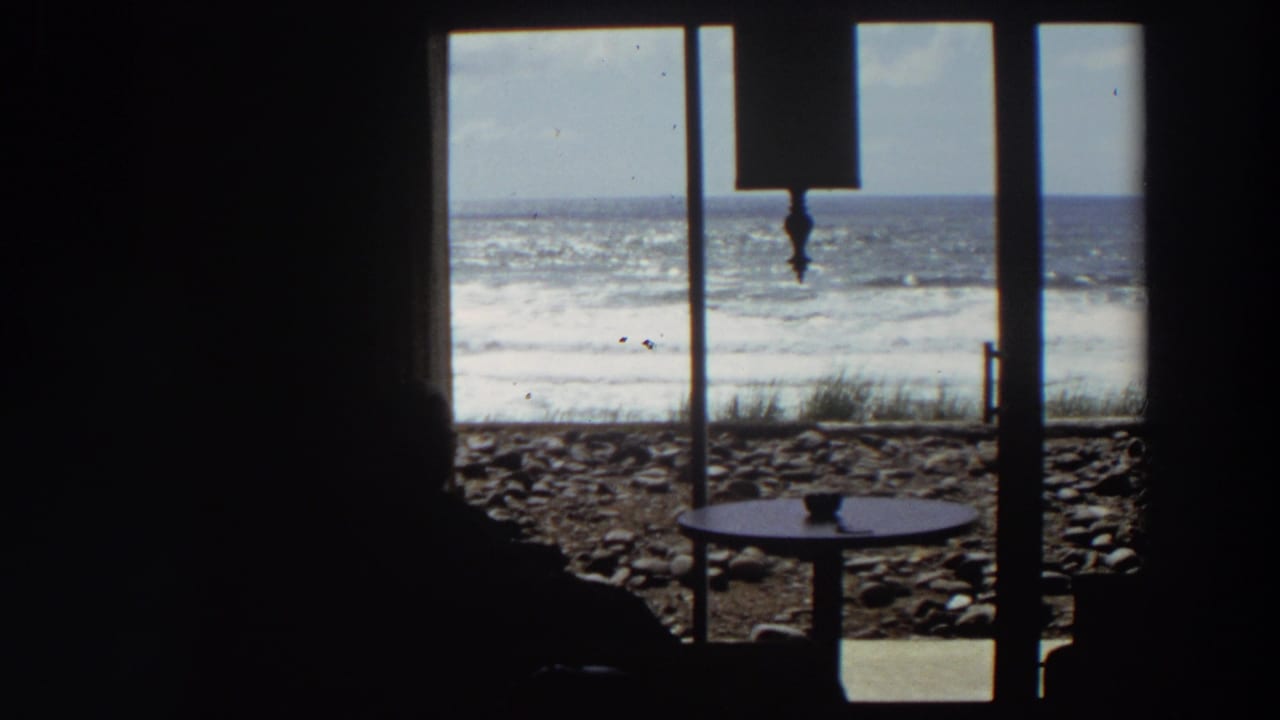 Silhouetted person seated indoors beside a window overlooking rocks, beach grass, waves, and ocean horizon.