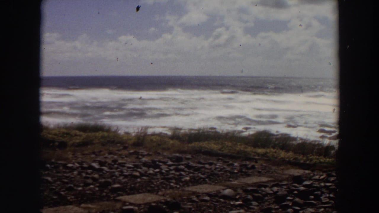 Foamy waves roll toward shore with pebbles and grass in the foreground.