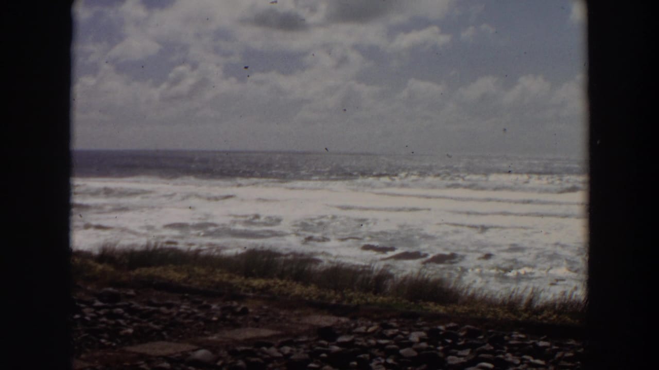 Ocean surf and white foam stretch across a rocky coast with grass in front.
