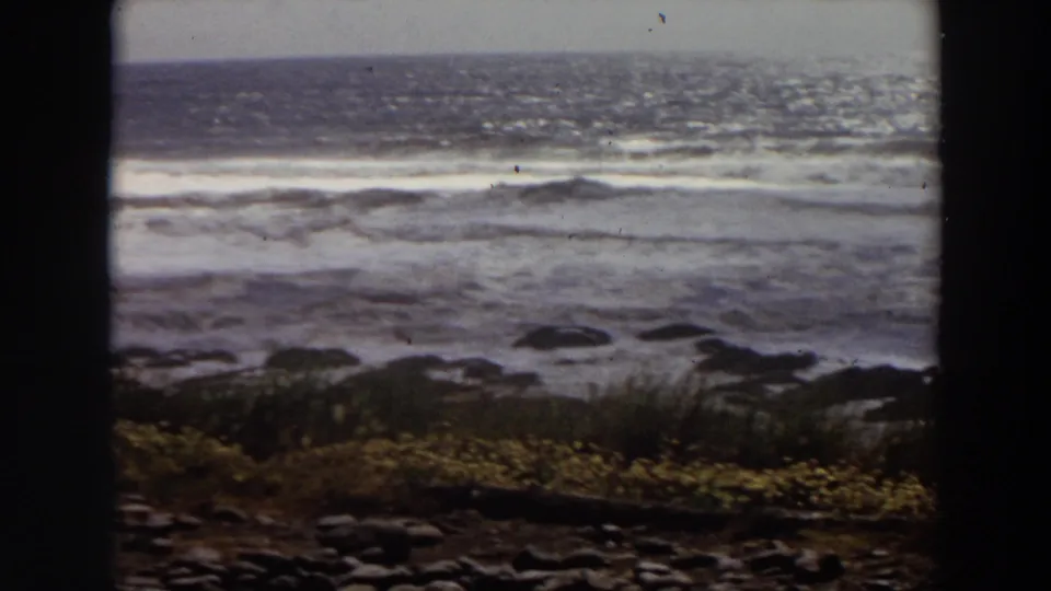 The California shoreline appears in bright sun, with glinting ocean water, surf lines, rocks, grass, and small yellow wildflowers.