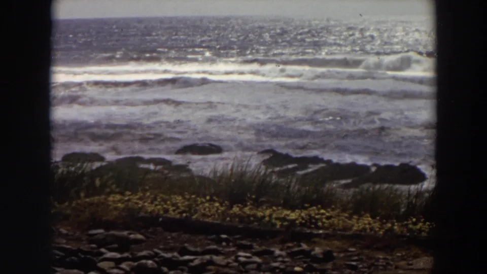 A 1964 California coast view shows sparkling ocean surf, dark shoreline rocks, grasses, and a strong vertical foreground frame.