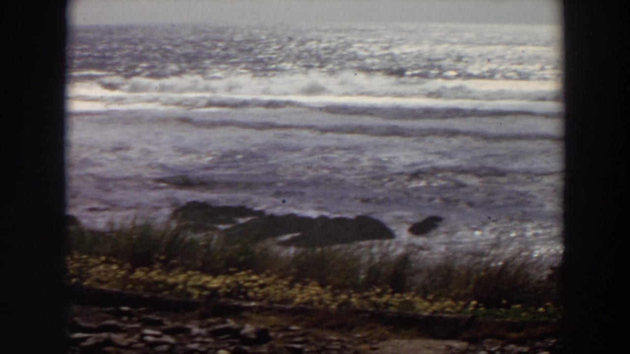 Foamy waves move toward rocks along a coastal shore bordered by grasses.