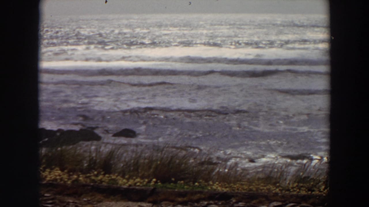 1964 California 8mm frame of ocean waves approaching shore, with grasses, small yellow flowers, dark rocks, and heavy dark borders.