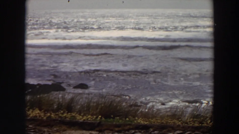 1964 California 8mm frame of ocean waves approaching shore, with grasses, small yellow flowers, dark rocks, and heavy dark borders.