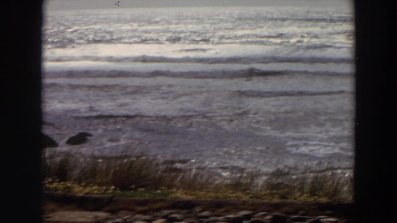Ocean surf and shoreline grasses are seen through dark vertical borders.