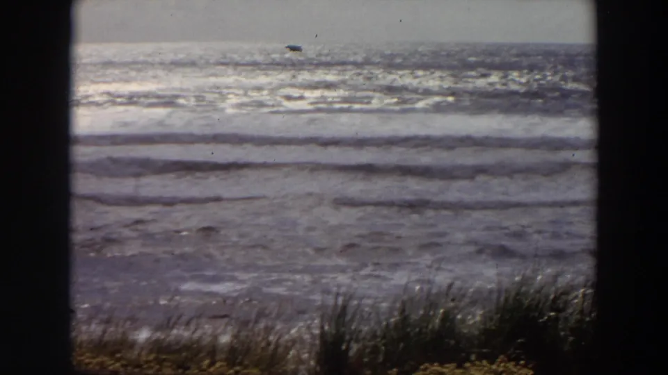 1964 California beach frame with layered waves, a small bird over the water, foreground grasses, wet sand, and a soft horizon.